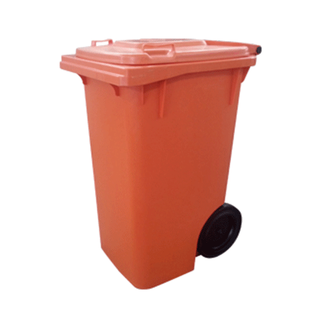 Sem-Pedal-Laranja-G-20150313-142518-1